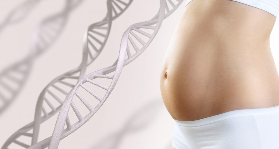 Fruchtbarkeit und Epigenetik